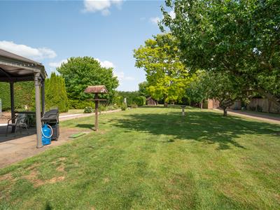 Large Mature Garden